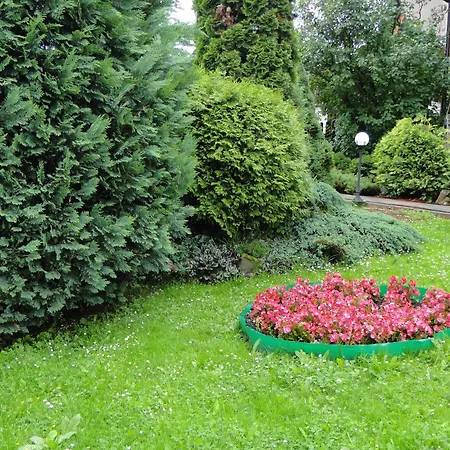 Alloggio in famiglia Goscinne Helena *